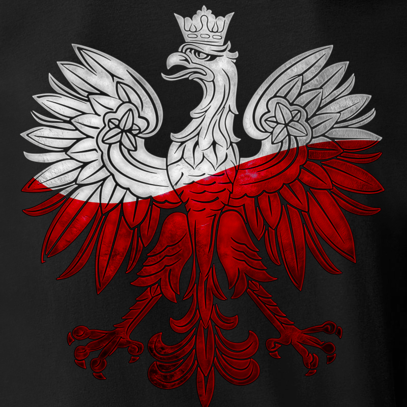 Męska czarna Patriotyczna Koszulka xPatriot – Polska Orzeł