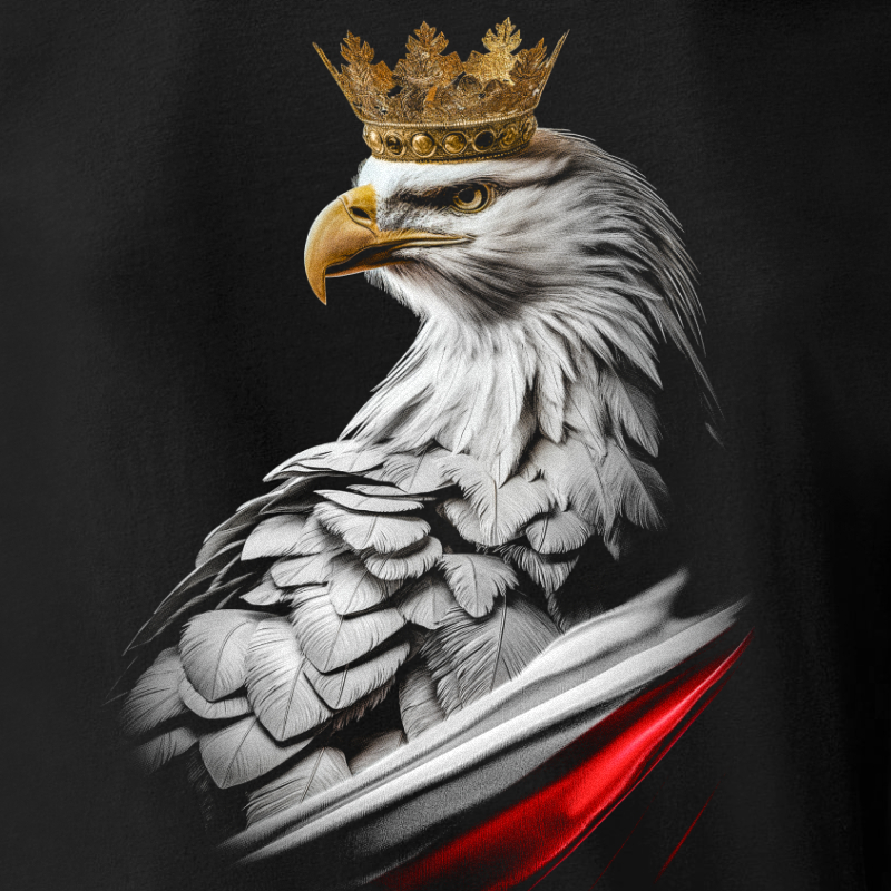 zbliżenie wzór kontur polska kolor czarny